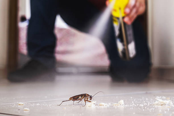 Professional Pest Control in Simmesport, LA