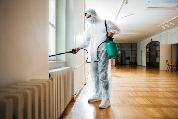 Best Pest Control Near Me in Simmesport, LA